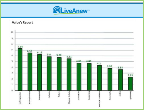 Organizational Report